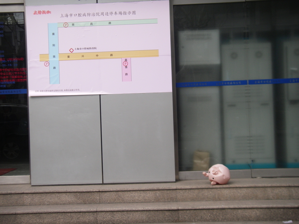 Mysterious Shanghai piglet